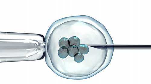 冷冻胚胎没有缴费医院还保留不，赤峰市妇产医院冷冻胚胎不想要了能退费吗？ 