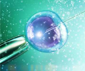 北京301医院病房是几人间，2024北京301医院病床紧张吗？ 