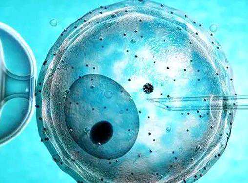 上海和平妇幼，2024上海和平妇保院供卵试管成功率高吗？ 