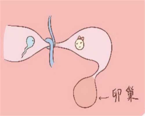 重庆妇幼做试管哪个医生好，2024重庆妇幼做试管查免疫力多少钱？ 