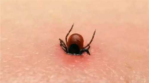 河北生殖妇产医院祁院长，河北生殖妇产医院生殖中心孟彦雪看不孕怎么样？ 