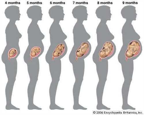 海淀妇幼染色体检查，北京妇产医院染色体检查结果周六能拿吗？ 