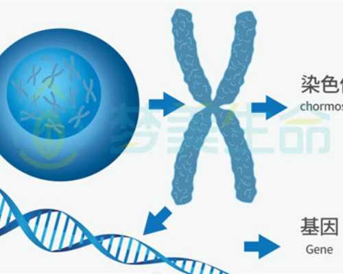西南医院养囊胚成功率大不，重庆西南医院移植囊胚前要做B超吗？ 