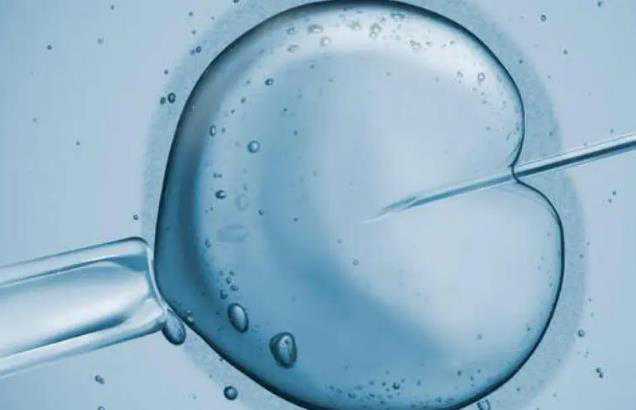 上海仁济医院辅助生殖，上海仁济医院生殖中心可以申请供卵吗？ 