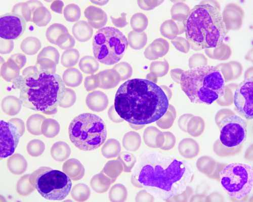 沈阳市妇婴做试管怎么样，沈阳市妇婴医院试管是不是一对一的？ 