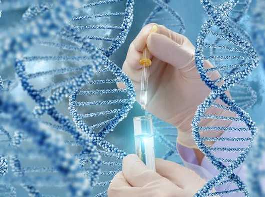 天津总医院有骨科吗，2024去天津总医院骨科看病不预约能挂上号吗？ 