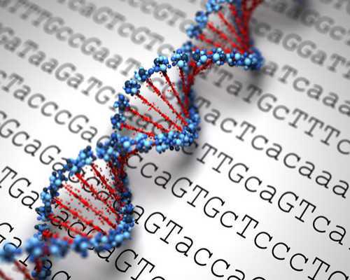 天津做试管费用标准，天津南开医院试管当天冻胚解冻流程有哪些？ 