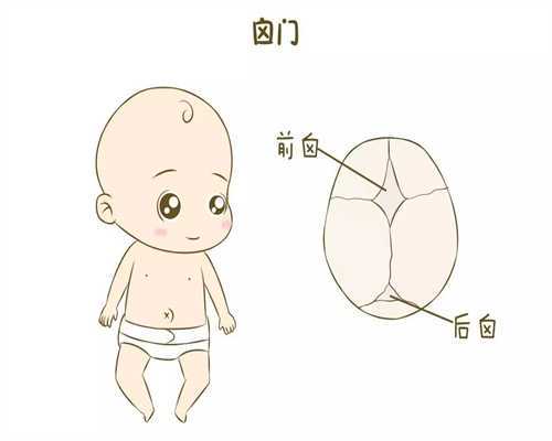 上海九院试管检查项目，上海九院试管促排方案有几种？ 