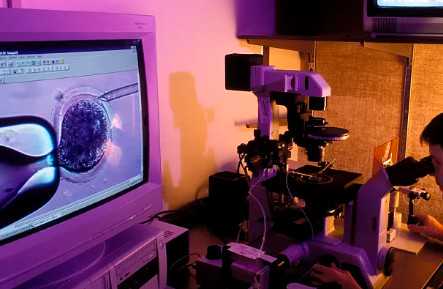 到浦东仁济医院怎么走，到上海浦东仁济医院坐什么公交车？ 