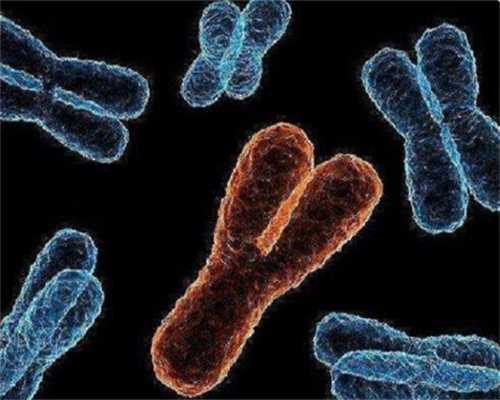 东方医院试管，上海东方医院打促排针到移植鲜胚多少钱？ 