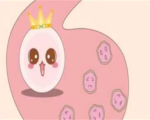 试管婴儿：国内试管技术助您生育梦想