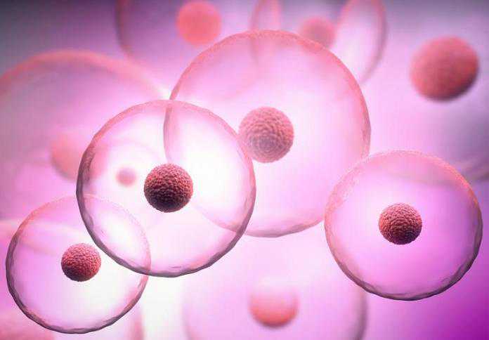 北京301医院可以网上看诊吗，2024北京301医院可以线上问诊吗？ 