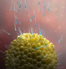 长治和平医院生殖中心哪个医生好，长治和平医院生殖科苗聪秀医生看内分泌怎么样？ 