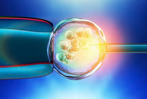 重庆北部妇产医院试管成功率怎样，重庆北部妇产医院移植鲜囊胚前准备什么？ 