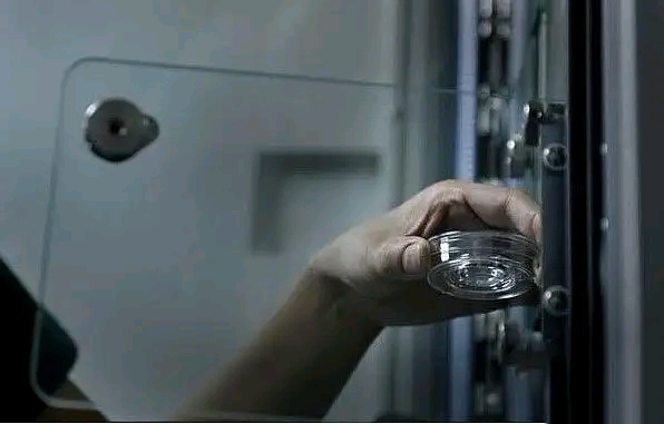 试管婴儿：拉拉情侣如何进行试管受孕？试管婴儿的性别与母亲有关吗？