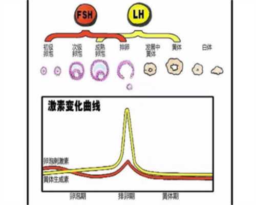 长治和平医院二代试管转三代需要多久，长治和平医院二代试管转三代需要多久？ 