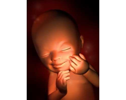 上海新华医院和瑞金医院哪个好一点，上海新华医院和瑞金医院哪个好？ 