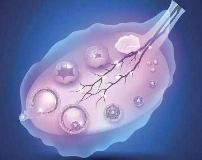 泰国做试管准备什么，泰国DHC生殖医院做试管需要准备哪些材料？ 