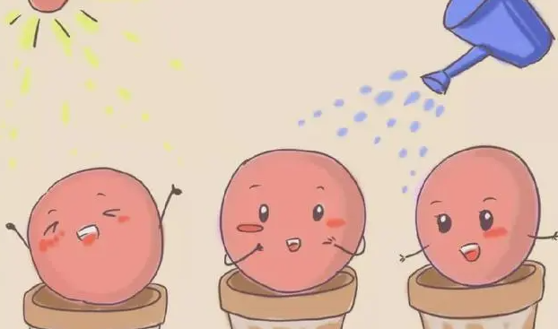 瑞金医院试管哪个医生好，瑞金医院做一次hiv试管多少钱？ 