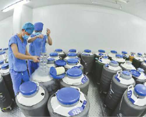 广州试管：寻找泰国试管婴儿中介服务，你全面试管代理机构指南