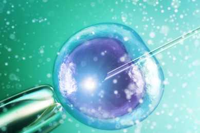 新华医院儿科和复旦大学附属儿科医院，2024年上海新华医院和复旦儿科哪个好？ 