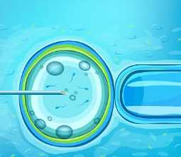 太原市中心医院做试管婴儿怎么样，太原市中心医院冻胚解冻多少钱？ 