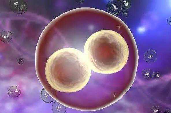 赤峰市妇产医院生殖科医生丁立荣怎么样，赤峰市妇产医院生殖科医生丁立荣怎么样？ 