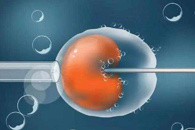 上海九院张邵珍，上海九院生殖中心张韶珍怎么样？ 