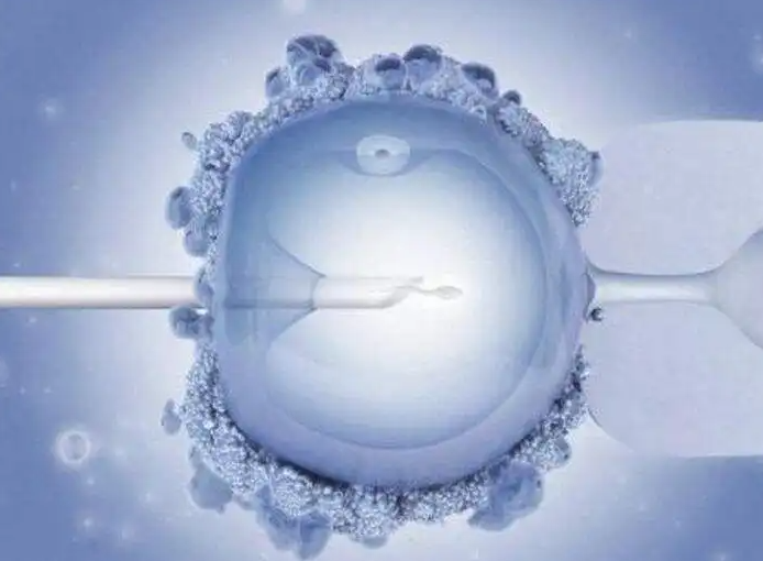 沈阳204生殖医院怎么样，沈阳204医院生殖科需要预约吗？ 