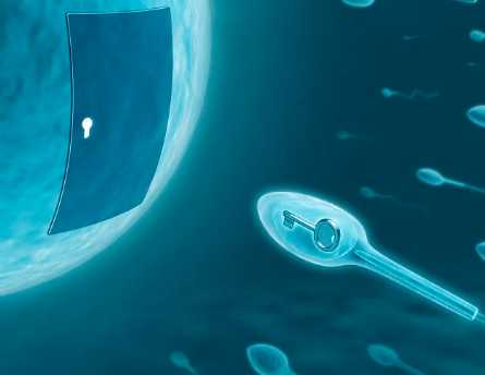 上海一妇婴特需门诊能用医保卡吗，2024上海一妇婴特需病房收费贵吗？ 