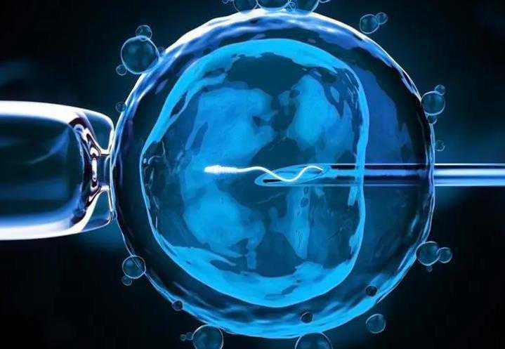 上海新华医院2代试管成功率多少啊，上海新华医院2代试管成功率多少？ 