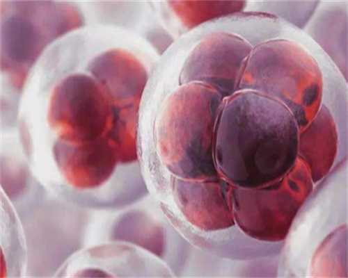 邯郸市中心医院试管，2024邯郸市中心医院冷冻移植多少钱？ 