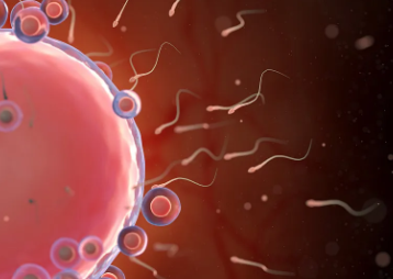 天津总医院哪个妇科医生好，天津总医院看不孕不育专家排名怎么样？ 