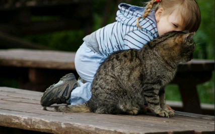 重庆妇幼冻胚解冻费用，重庆新桥医院生殖中心冻胚解冻多少钱？ 