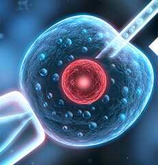 上海455医院挂号，去上海455医院停车方便吗？ 