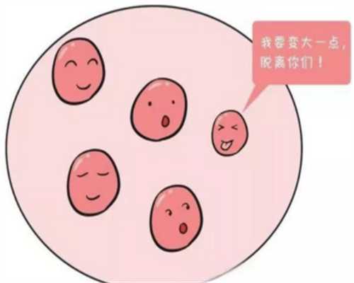 上海455医院3代试管婴儿检查费用多少钱，上海455医院3代试管婴儿检查费用多少？ 