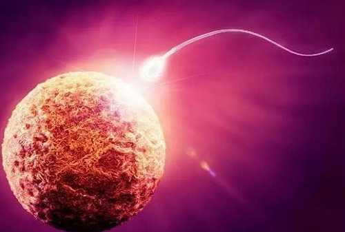 内蒙古人民医院做试管婴儿成功率可以吗，内蒙古人民医院生殖科三代供卵试管成功率多少？ 