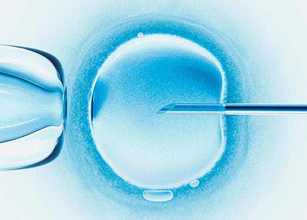 赤峰市妇产医院鲜囊胚移植需要多长时间完成，赤峰市妇产医院鲜囊胚移植需要多长时间完成？ 