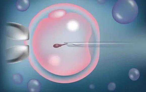 山西医科大学第一医院试管婴儿，山西省人民医院一代转二代试管要多久完成？ 