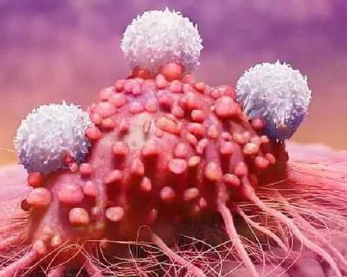 泰国试管之旅：记录我的供卵试管经历