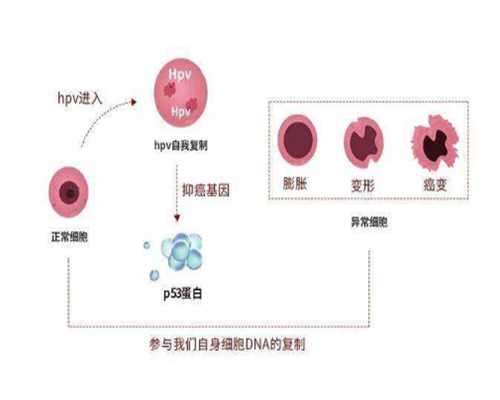 北京协和医院可以做供卵试管吗，2024北京协和医院做供卵试管婴儿的成功率高吗？ 