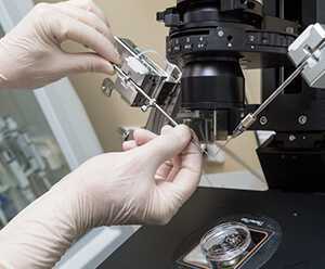 2024民法典中非婚生育不再征收社会抚养费了吗为什么，2024民法典中非婚生育不再征收社会抚养费了吗? 