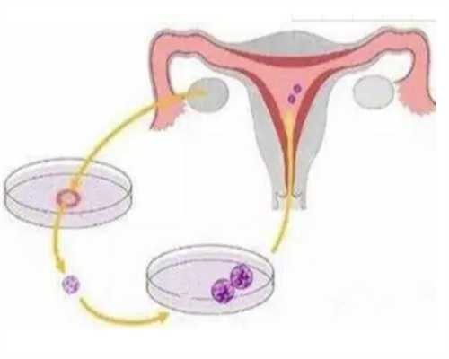 上海东方医院做试管怎样，上海东方医院冻胚解冻流程是怎样的？ 
