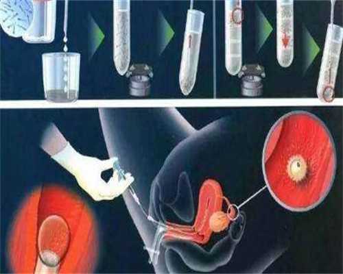 河北生殖妇产医院价格，2024河北生殖妇产医院冻囊胚移植多少钱？ 