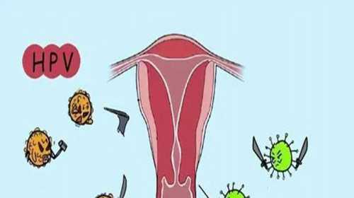 上海长海医院做试管婴儿多少钱，2024上海长海医院1代试管收费标准是怎样的？ 