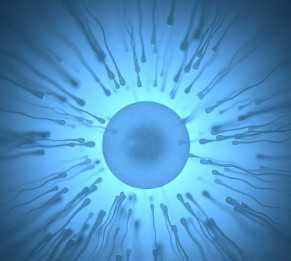 赤峰妇产医院在线咨询免费，2024赤峰市妇产医院新鲜胚胎移植专家有哪些？ 