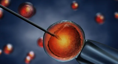 冻胚没有囊胚好吗，大连妇产医院生殖科移植冻囊胚没着床能取卵吗？ 