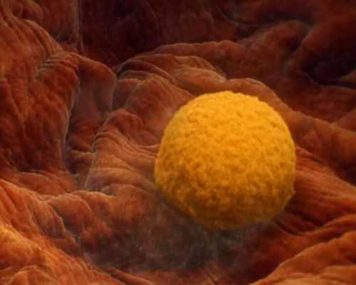 试管婴儿费用：2022年三代试管全面解析