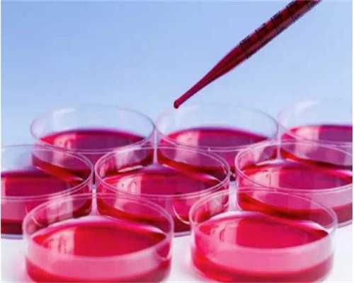 郑州试管婴儿服务，郑州试管助孕专家