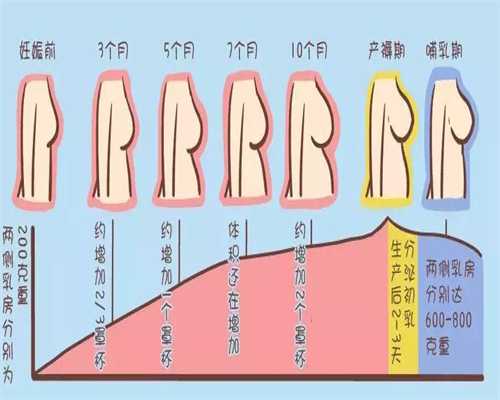 沈阳市妇婴做试管的费用，沈阳市妇婴医院试管检查流程是怎样的？ 